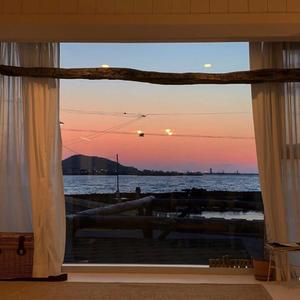 被老师强行打针在线观看
