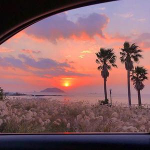 被老师强行打针在线观看
