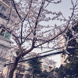 被老师强行打针在线观看
